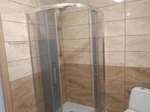 a shower with a glass door in a bathroom at Zacisze nad Rospudą in Filipów +37 photos