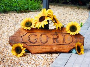 Fotografie z fotogalerie ubytování Casa Gori v destinaci Certaldo