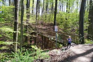 a child standing on a bridge in the woods at Ferienwohnung am Teutoburger Wald 1 in Oerlinghausen