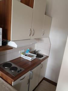 Kuchyň nebo kuchyňský kout v ubytování Villa Toscana