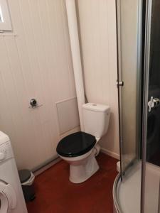 a bathroom with a toilet with a black seat and a shower at Le studio d Olivia in Avallon