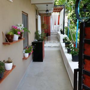 un couloir d'une maison avec des plantes en pot dans l'établissement Home Away From Home, à Saranda