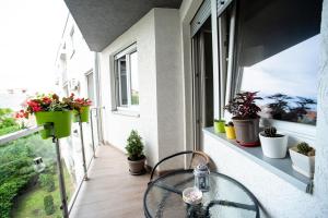 balcone con tavolo in vetro e piante in vaso di Apartman Black Star a Novi Sad