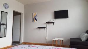 a living room with a couch and a tv on a wall at CENTRAL VIEW APARTMENT in Skopje