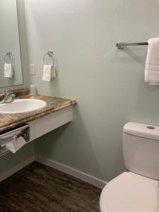 a bathroom with a toilet and a sink at Rockerville Lodge & Cabins in Keystone