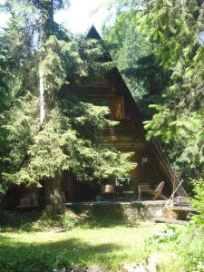 drewniany domek w lesie z drzewem w obiekcie Chata pri potoku w Zuberzcu