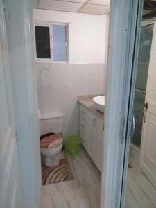 a bathroom with a toilet and a sink at Cozy Waterloo Apartment in Kingston