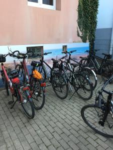Cykling vid eller i närheten av Altstadtpension