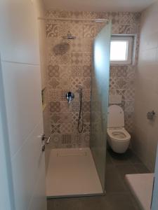 un bagno con doccia e WC di Lino Apartments a Rovigno (Rovinj)