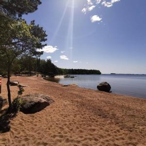 a sandy beach with a tree and the water at Hamina Camping Pitkäthiekat in Hamina