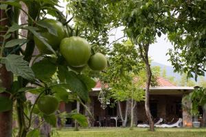 Foto da galeria de Sinanis Garden House em Volos