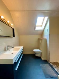 baño con lavabo, aseo y tragaluz en Les chalets d'Arrens, en Arrens-Marsous 34 fotos más