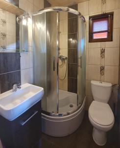 La salle de bains est pourvue d'une douche, de toilettes et d'un lavabo. dans l'établissement ALBATROS Wicie, à Wicie