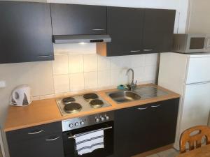 a small kitchen with a stove and a sink at Wohnung 4 in Alzenau