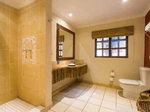 a bathroom with a toilet and a mirror at Chobe Marina Lodge in Kasane