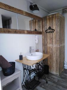 a bathroom with a sink and a mirror at La roulotte d'Elicie Proche du Parc le Pal in Saint-Agnan-sur-Loire