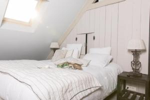 Afbeelding uit fotogalerij van Les Demeures de Marie in Pacé