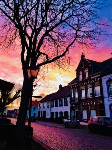 une scène de rue avec un arbre et un coucher de soleil dans l'établissement Logies De Reiziger, à Groede