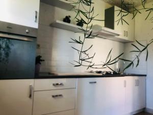 Kuchyň nebo kuchyňský kout v ubytování Apartments Smirnov