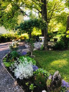 Zahrada ubytování Apartments Smirnov