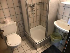 a bathroom with a shower and a toilet and a sink at Haus Alois Nußbaumer jun. in Saalfelden am Steinernen Meer +49 photos