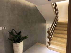 Fotografie z fotogalerie ubytování Apartments Tomislav v Novalji