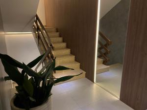 Fotografie z fotogalerie ubytování Apartments Tomislav v Novalji