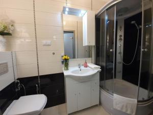 a bathroom with a sink and a shower and a toilet at DWIE SOSNY Apartamenty przy plaży - 365PAM in Ustronie Morskie