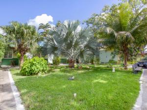 un patio con palmeras y una casa en OYO Pousada Recanto Shangrilá, Cabo Frio en Cabo Frío