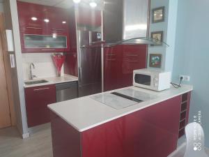 A kitchen or kitchenette at Apartament Escaliro Pins