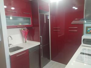 A kitchen or kitchenette at Apartament Escaliro Pins