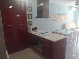A kitchen or kitchenette at Apartament Escaliro Pins