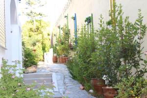 Vonkajšia záhrada v ubytovaní Carolina Apartments Crete