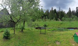 ein Feld mit einem Picknicktisch und einem Baum in der Unterkunft Котедж під горою in Tatariw