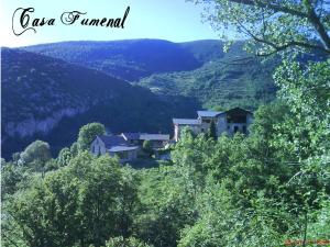a house in the middle of a valley with trees at Albergue Casa Fumenal in Padarniu