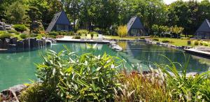 una piscina d'acqua in un giardino con una casa di Zen Garden Resort, Zánka a Zánka
