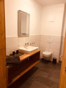 La salle de bains est pourvue d'un lavabo et de toilettes. dans l'établissement Appartement Almblick, à Brixen im Thale