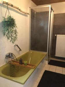 bagno con vasca verde e doccia di Ferienwohnung mit HERZ in Laufenburg a Laufenburg