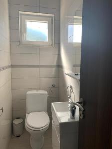 łazienka z toaletą, umywalką i oknem w obiekcie La Dolce Vita Apartment w mieście Posedarje +37 zdjęć