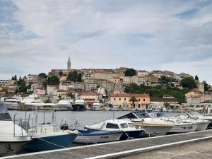 Gallery image of Apartment Nostra Casa Orsera in Vrsar