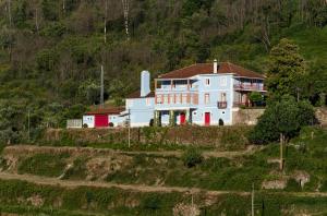 ein großes weißes Haus auf einem Hügel mit in der Unterkunft Quinta da Tapada in Avô