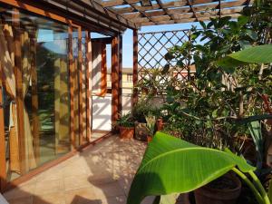 a screened in porch with plants on it at Appartamenti via Lombardo in Giardini Naxos