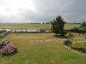 a field with a fence and animals in the distance at Escale en Baie de Somme in Cayeux-sur-Mer