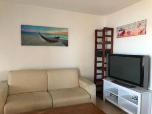 salon z kanapą i telewizorem z płaskim ekranem w obiekcie apto Fradera w mieście La Savina