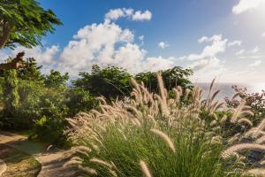 a garden with tall grass and the ocean in the background at Dream Villa Gouverneur 655 in Saint Barthelemy