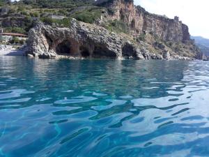 un delfino nell'acqua vicino a un'isola rocciosa di B&B Mediterraneo a Cetraro