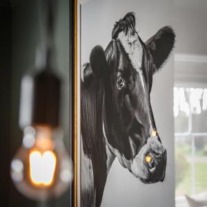 a picture of a cow in a mirror at Blakeney House in Blakeney