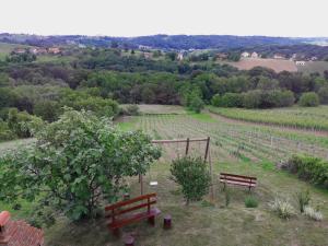 Fotografie z fotogalerie ubytování Holiday Home Fijolica v destinaci Štrigova