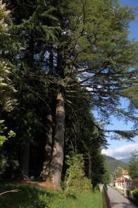 Fotografie z fotogalerie ubytování Villa Emilia v destinaci Craveggia