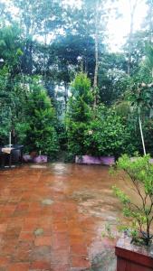 Zahrada ubytování Dreams Home Estate Stay